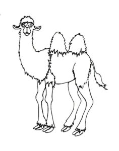 Верблюд картинки раскраски (13)