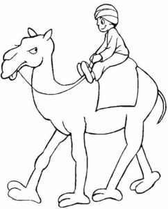 Верблюд картинки раскраски (18)
