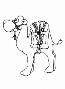 Верблюд картинки раскраски (22)