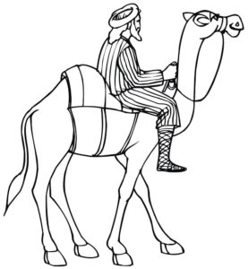 Верблюд картинки раскраски (32)