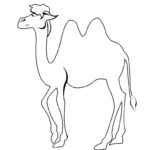 Верблюд картинки раскраски (34)