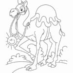 Верблюд картинки раскраски (39)