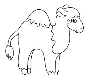 Верблюд картинки раскраски (40)
