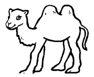 Верблюд картинки раскраски (42)