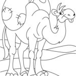 Верблюд картинки раскраски (43)