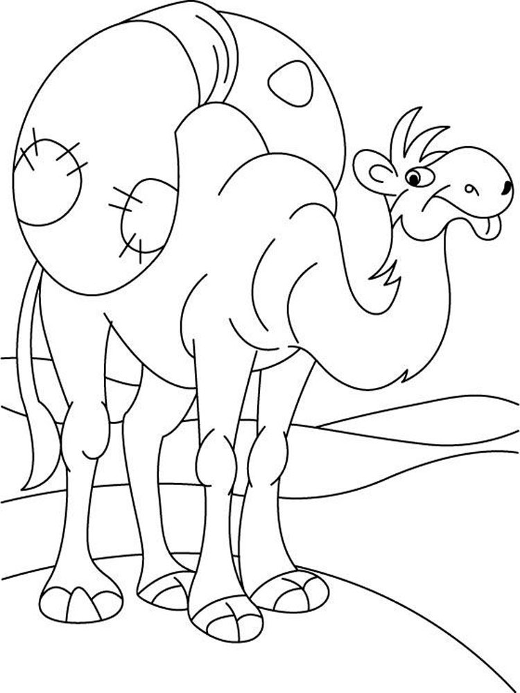 Верблюд картинки раскраски (43)