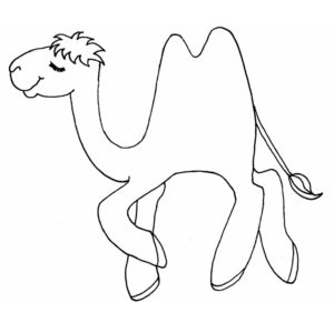 Верблюд картинки раскраски (45)