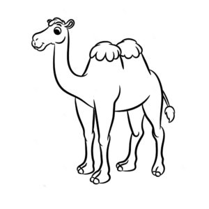 Верблюд картинки раскраски (47)