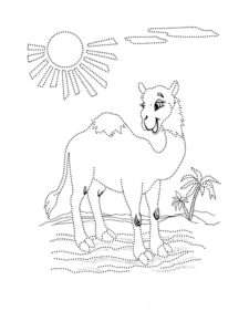 Верблюд картинки раскраски (51)
