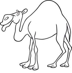 Верблюд картинки раскраски (57)