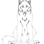 Волк картинки раскраски (5)