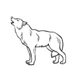 Волк картинки раскраски (7)