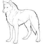 Волк картинки раскраски (8)