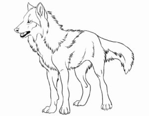 Волк картинки раскраски (9)