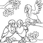 Ворона картинки раскраски (10)