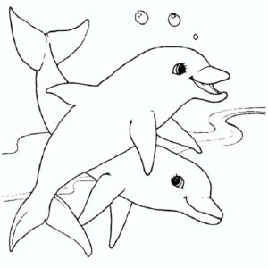 Дельфин картинки раскраски (1)