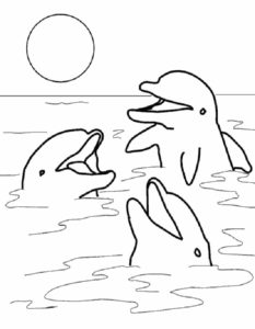 Дельфин картинки раскраски (12)