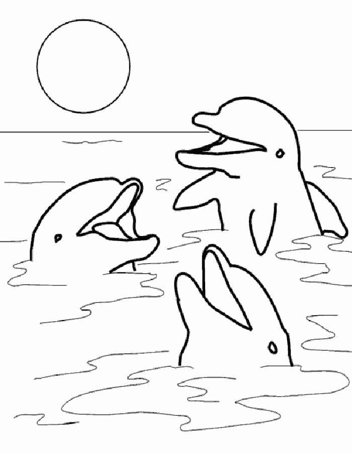 Дельфин картинки раскраски (12)