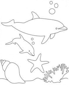 Дельфин картинки раскраски (14)