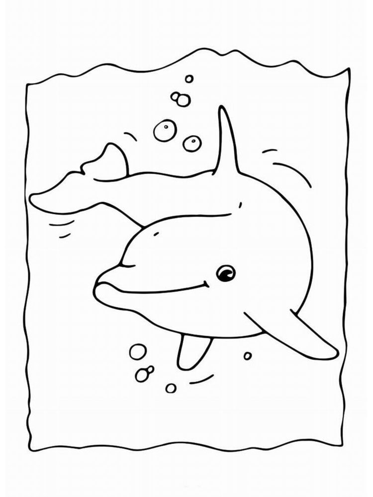 Дельфин картинки раскраски (16)