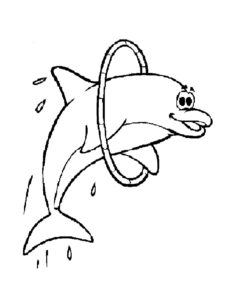 Дельфин картинки раскраски (17)