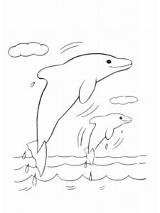 Дельфин картинки раскраски (18)