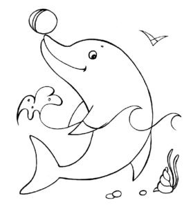 Дельфин картинки раскраски (2)