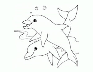 Дельфин картинки раскраски (20)