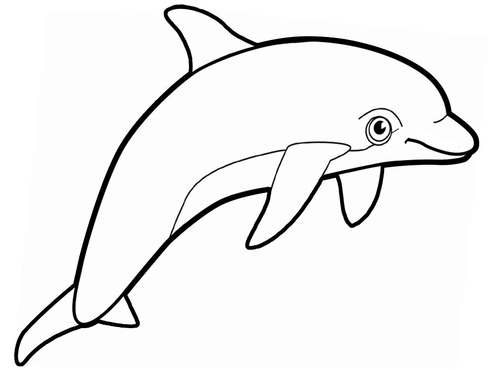 Дельфин картинки раскраски (21)