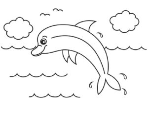 Дельфин картинки раскраски (22)