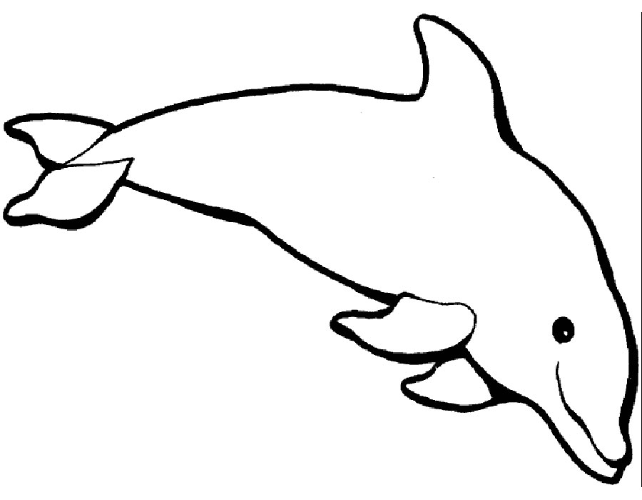 Дельфин картинки раскраски (24)