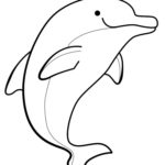 Дельфин картинки раскраски (25)