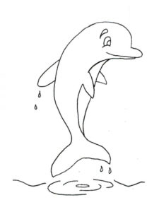 Дельфин картинки раскраски (31)