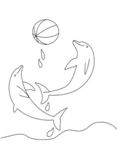 Дельфин картинки раскраски (32)