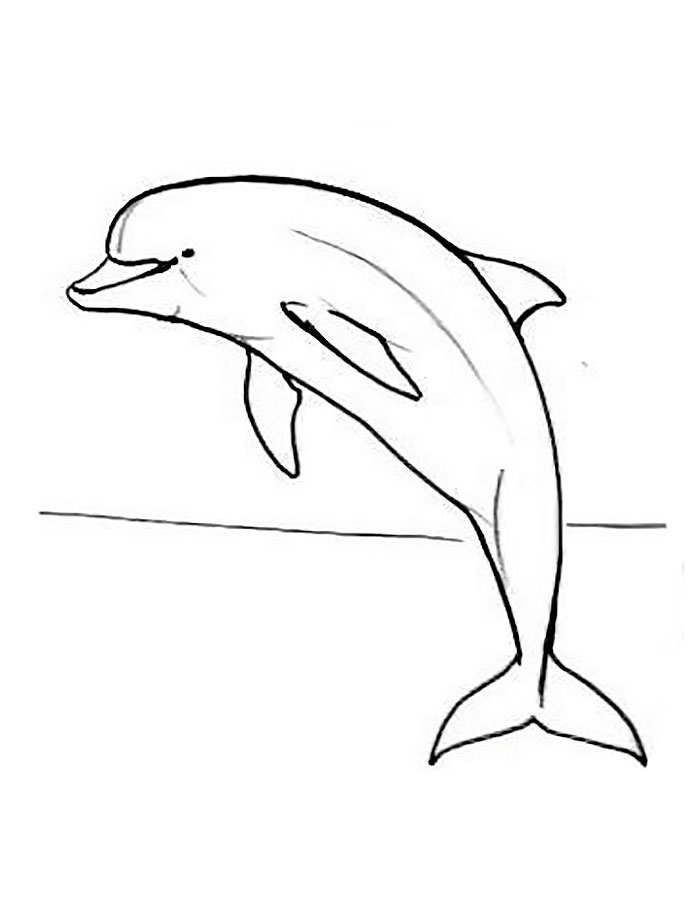 Дельфин картинки раскраски (33)