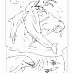 Дельфин картинки раскраски (40)