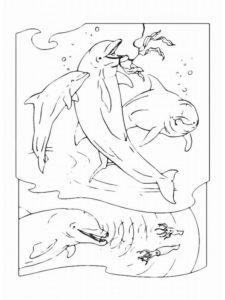 Дельфин картинки раскраски (40)