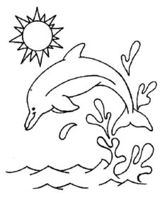Дельфин картинки раскраски (42)