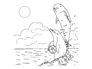 Дельфин картинки раскраски (5)