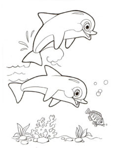 Дельфин картинки раскраски (6)
