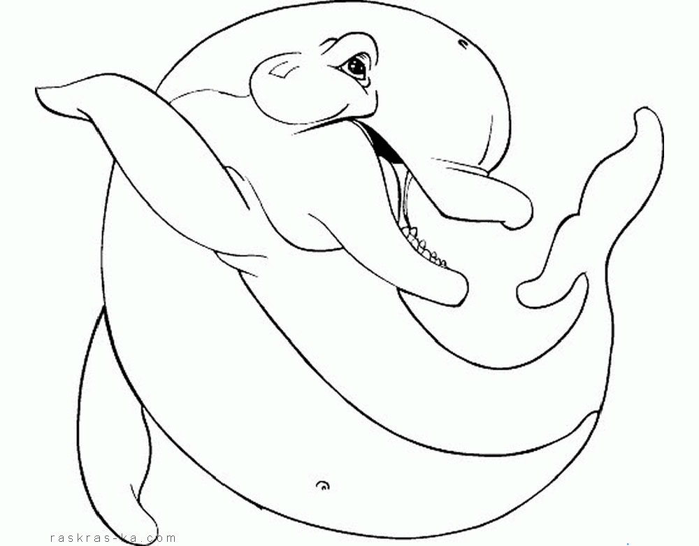 Дельфин картинки раскраски (7)