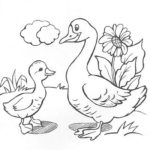 Домашние птицы и их птенцы картинки раскраски (24)