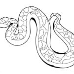 Змеи картинки раскраски (11)