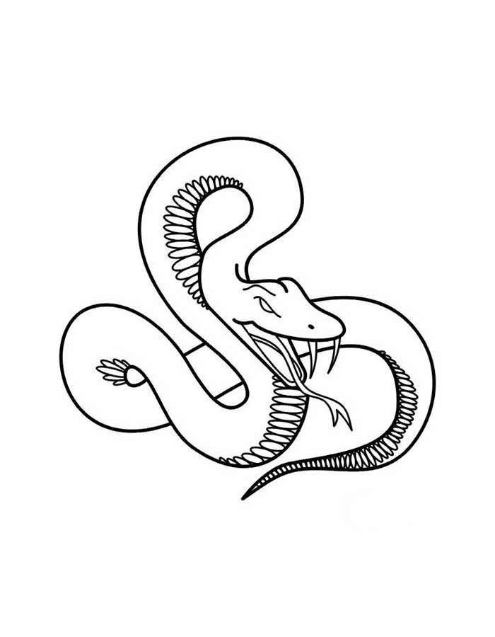 Змеи картинки раскраски (24)