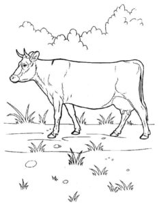 Корова картинки раскраски (10)