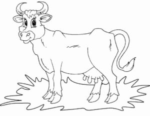 Корова картинки раскраски (12)