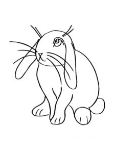 Кролик картинки раскраски (1)