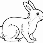 Кролик картинки раскраски (10)