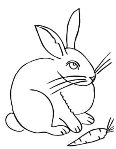 Кролик картинки раскраски (2)