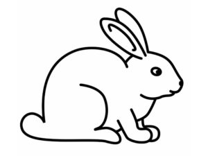 Кролик картинки раскраски (22)